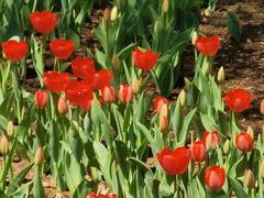 -长春公园(普阳街道)