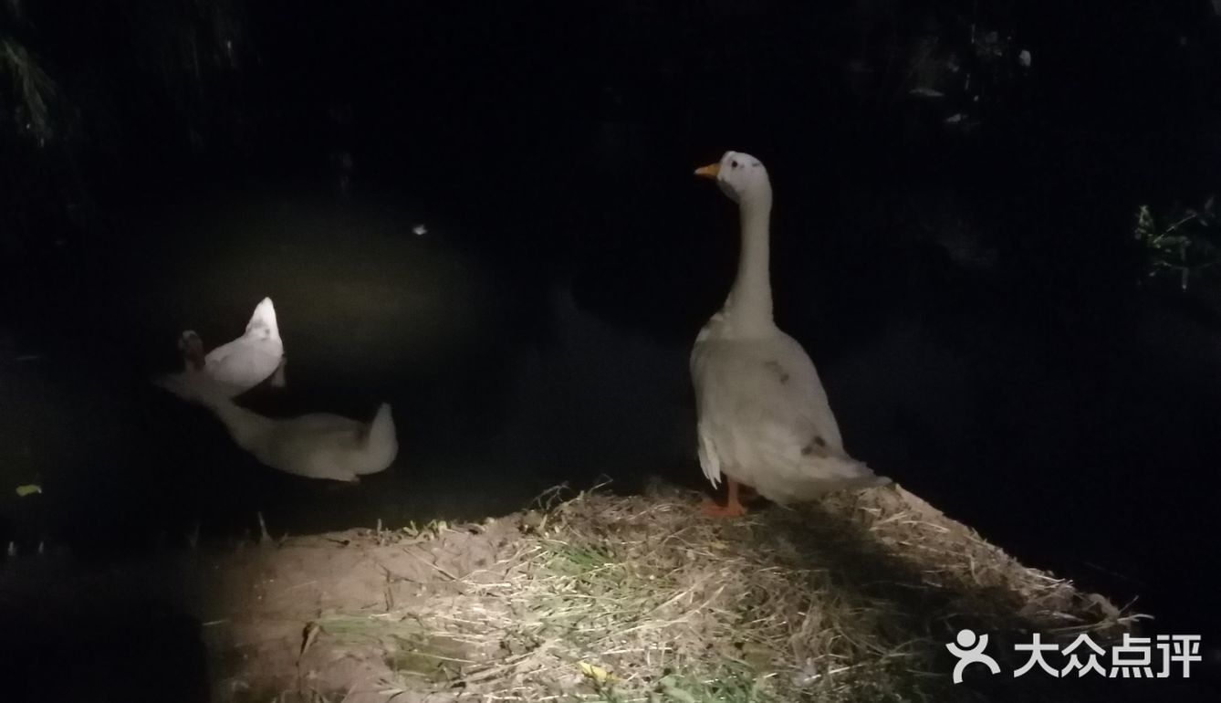 北二环的江南风景区[加油]积水潭西[呲牙]