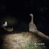 北二环的江南风景区[加油]积水潭西[呲牙]