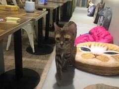 -小时光咖啡馆(开森度假森林店)
