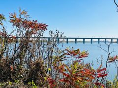 -永定河休闲森林公园