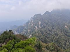 -王顺山国家森林公园