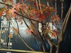 -新白鹿餐厅(爱琴海购物中心店)
