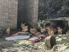 -途中饭店(开化店)