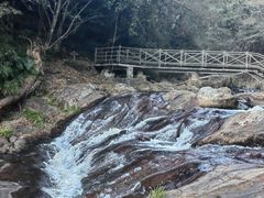 -梁野山景区