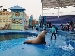 -华夏文旅海洋公园