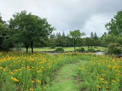 -上海滨江森林公园