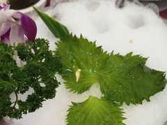 -吉源大排档·鱼生·海鲜(烧烤彩印厂店)