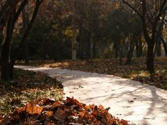 -西安市长乐公园