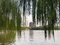 -济南大明湖景区