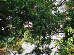 -乌山风景区