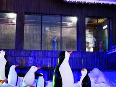-世界之窗阿尔卑斯冰雪世界