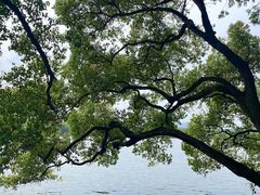 -浙江西子宾馆·瑶园咖啡厅