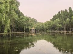 -阿尔丁植物园