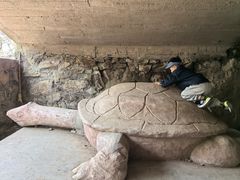 -上海佘山国家森林公园天马山园