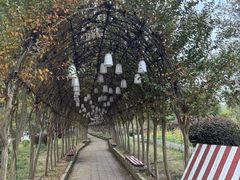 -武汉紫薇都市田园