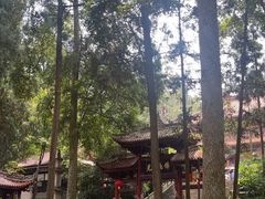 -都江堰普照寺