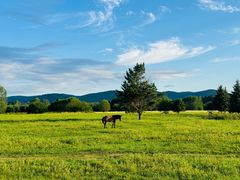-北极村旅游风景区
