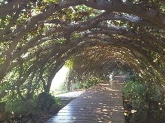 -广西壮族自治区药用植物园
