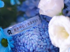 -蔚来中心(北京中关村店)