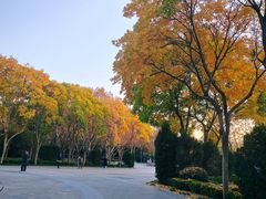 -蠡湖中央公园