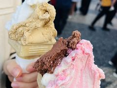 -柠檬车露(卖草地店)