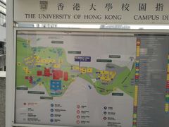-香港大学