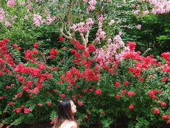 -杭州城北体育公园