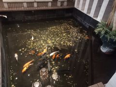 -久宴·天目湖大鱼头(恐龙园店)