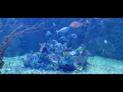 -太平洋海底世界餐厅