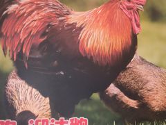 -锅老头海鲜铁锅炖