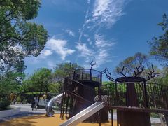 -渤公岛生态公园