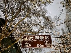 -鸡鸣寺
