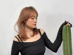点击看大图 -P.STYLE 派斯造型
