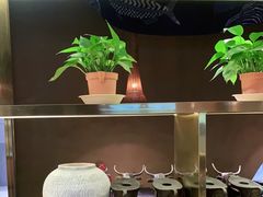 -云海肴云南菜·蒸汽石锅鱼(青岛万象城店)