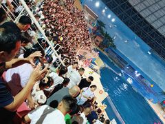 -泉城欧乐堡海洋极地世界