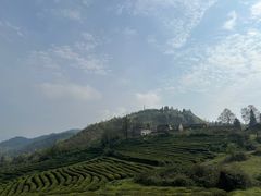 -王五羊肉粉(大东海店)