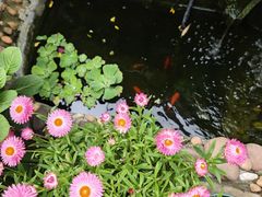 -老屋咖啡