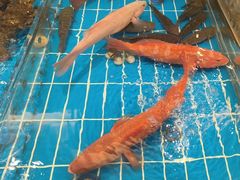 -新丁香海鲜酒店(银海商贸城店)