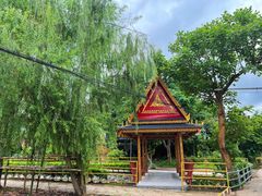 -中国科学院西双版纳热带植物园
