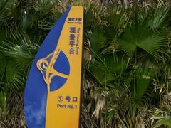 -演武大桥观景平台