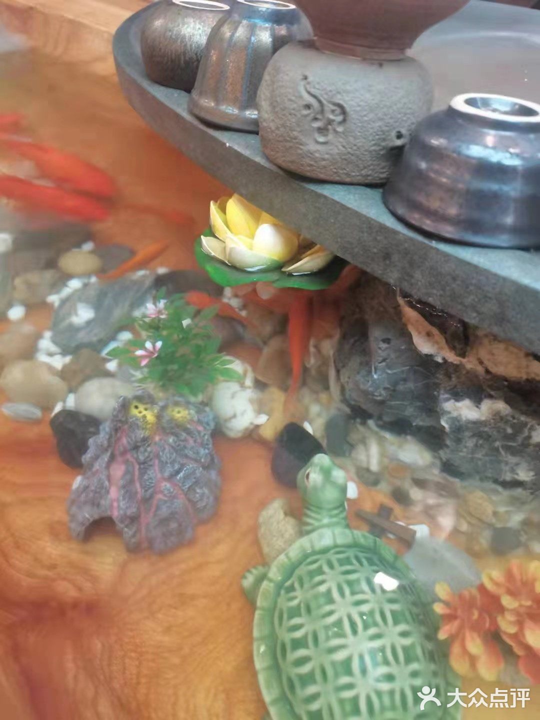 我被这家店的刺身给征服了