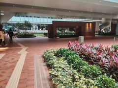 -香港大学