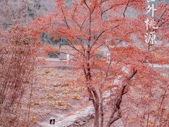 -常德桃花源景区