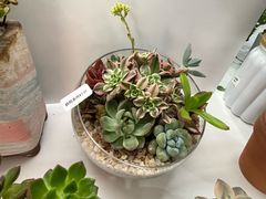 -巴黎春天(浦建店)