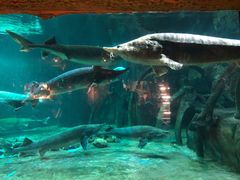 -华夏文旅海洋公园