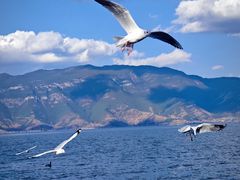 -丽江泸沽湖景区