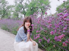 -黄河三峡风景名胜区