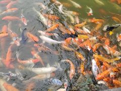 -珠海圆明新园