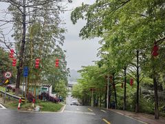-黄埔油麻山森林公园